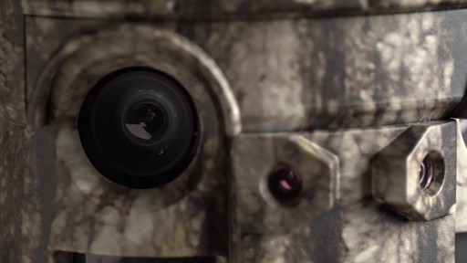 Moultrie P-120i Trail/Game Camera - image 7 from the video